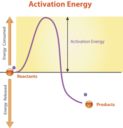 1. 15: Energy and Biochemical Reactions