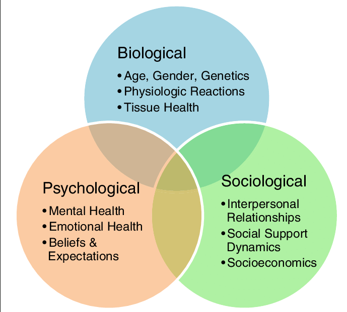 [2] An illustration of the biopsychosocial model comprised ...