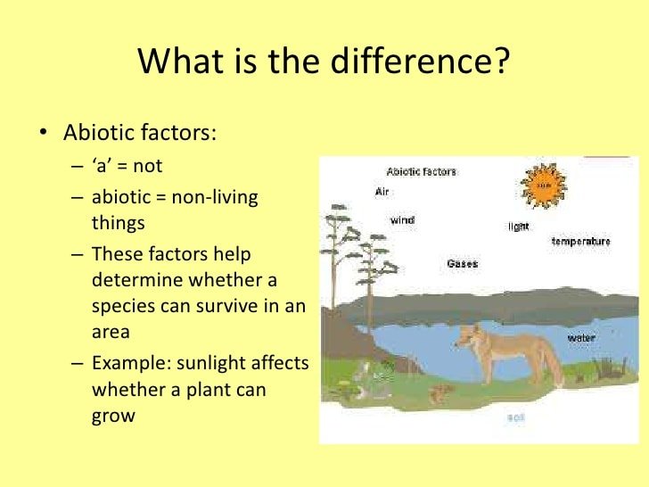 Abiotic and biotic factors
