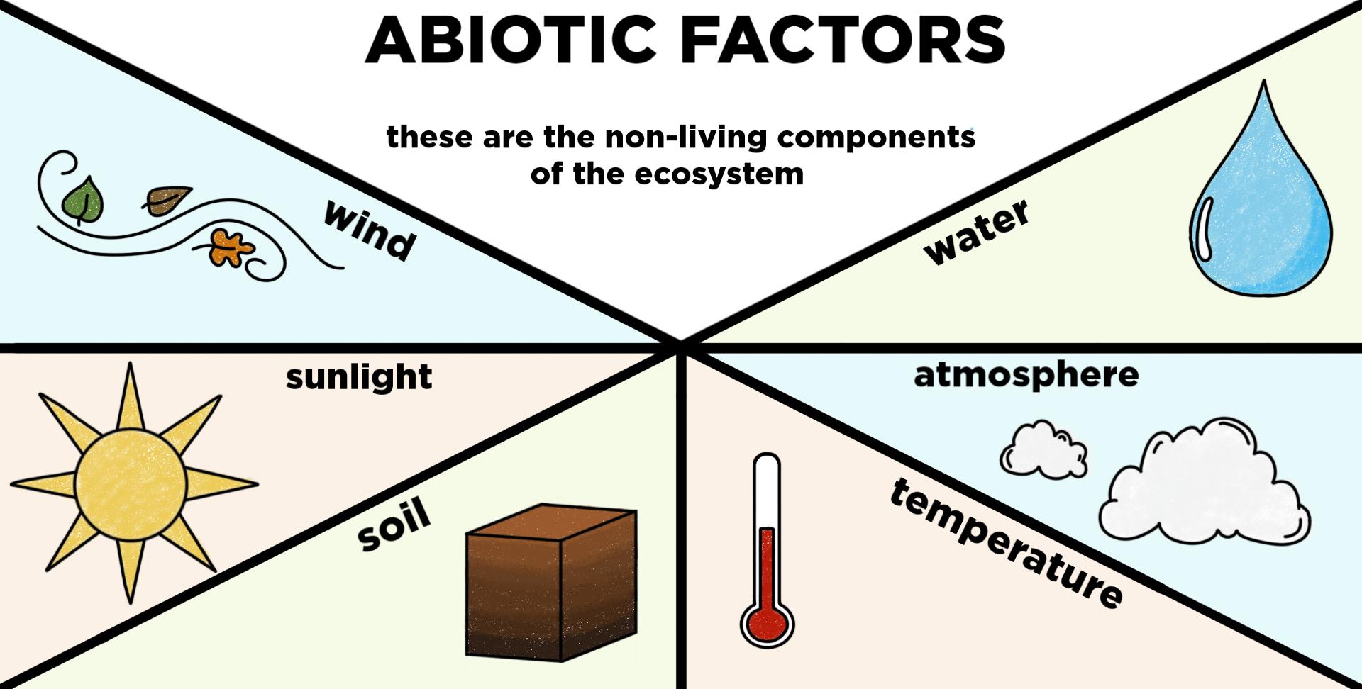 Abiotic Components of Ecosystems  Definition & Examples ...