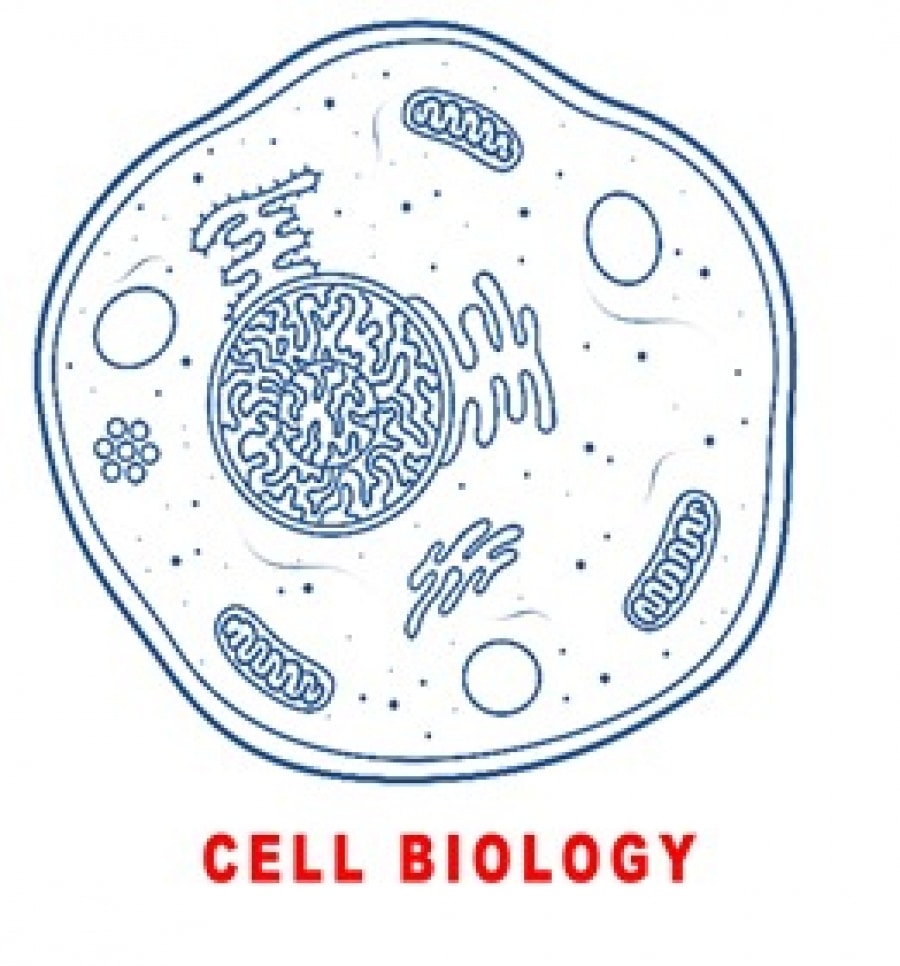 AN INTRODUCTION TO CELL BIOLOGY (BRIEF HISTORY OF CYTOLOGY)