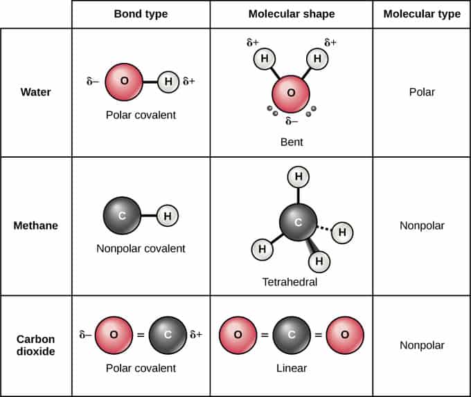 Atoms, Isotopes, Ions, and Molecules