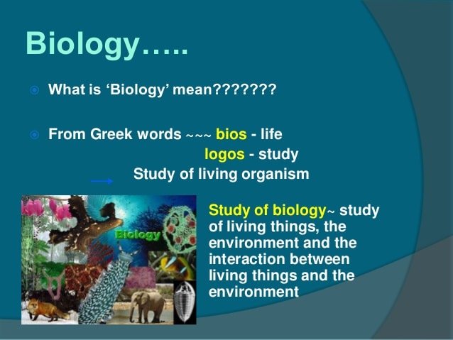 Biology chapter 1