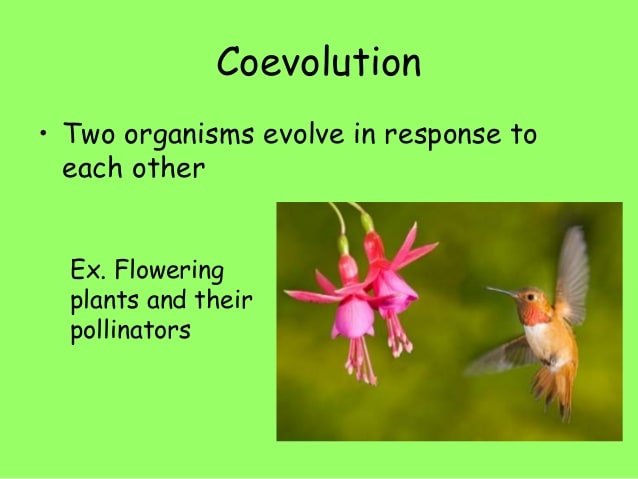 Biology eoc review slideshow