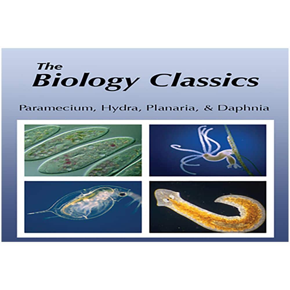 BioMEDIA Video: The Biology Classics: Paramecium, Hydra, Planaria, and ...