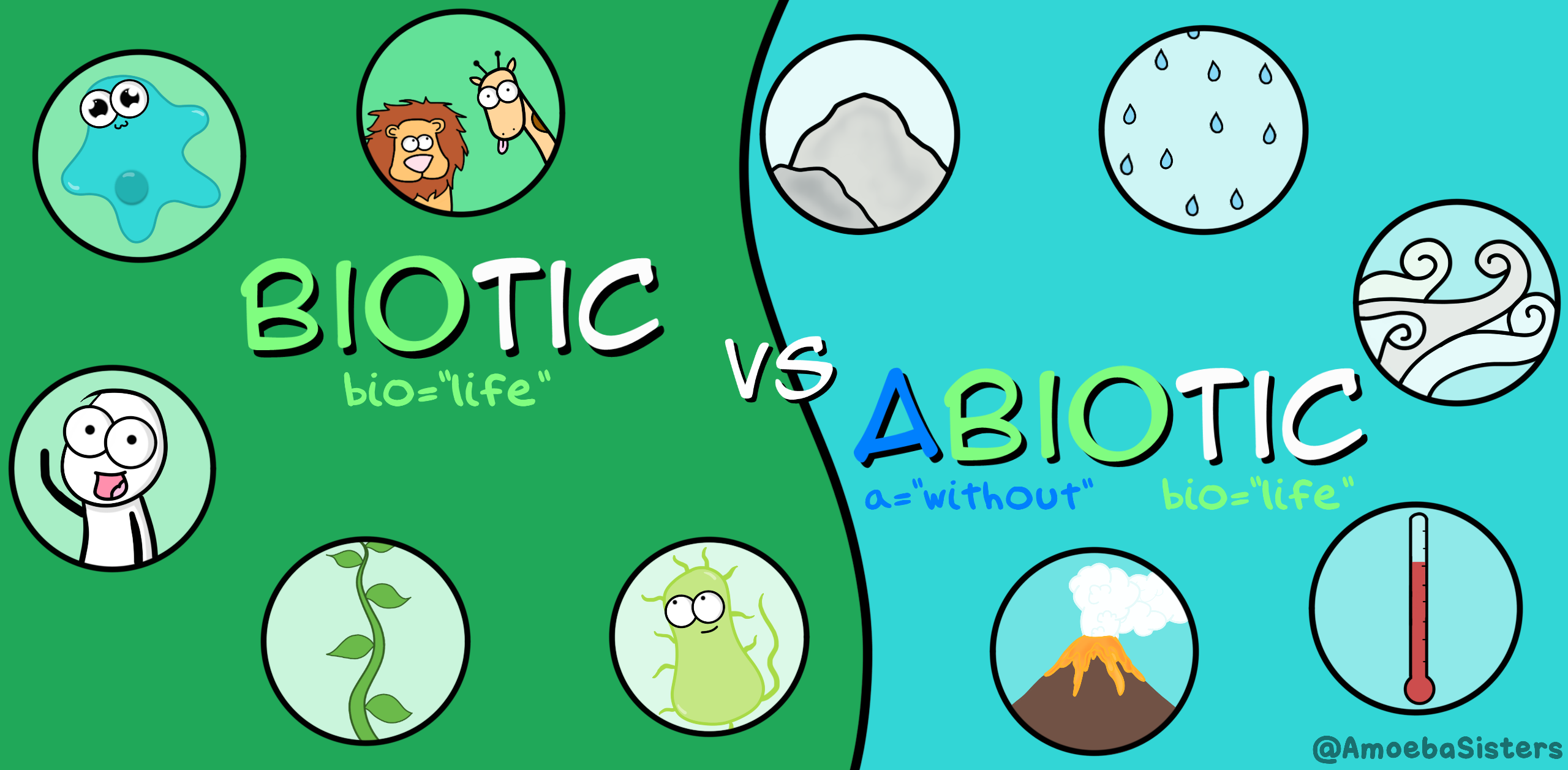 Biotic vs. Abiotic Factors I Biology I The Amoeba Sisters ...