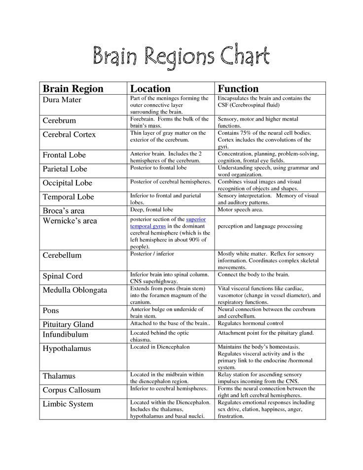 brain functions chart