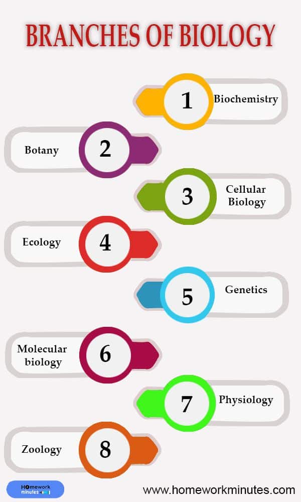 Branches of biology