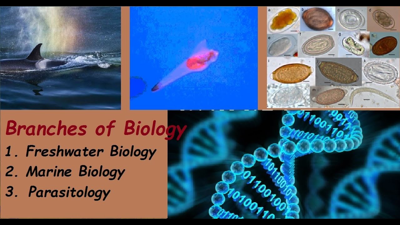 Branches of Biology: Freshwater Biology, Marine Biology, Parasitology ...