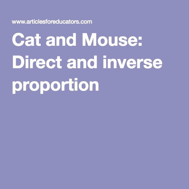 Cat and Mouse: Direct and inverse proportion