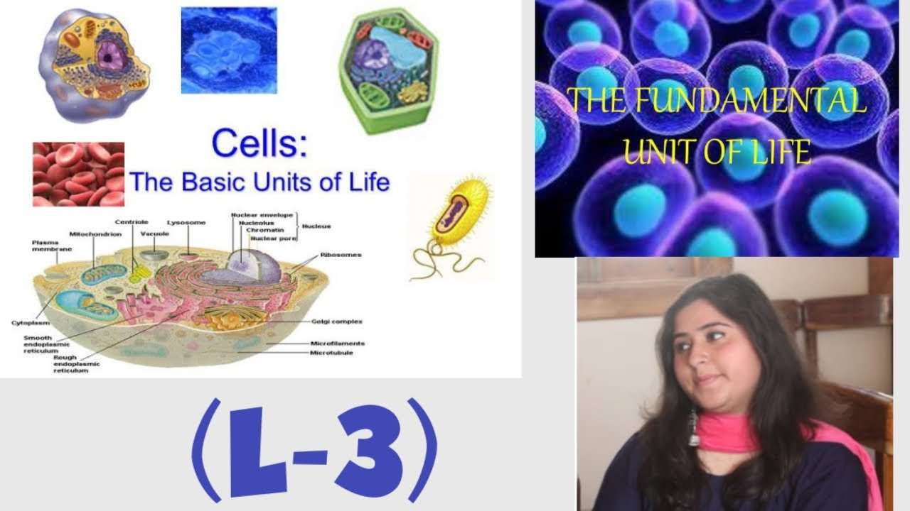 Cell Theory &  Cell diversity I Class 9 Science (Biology) I ...