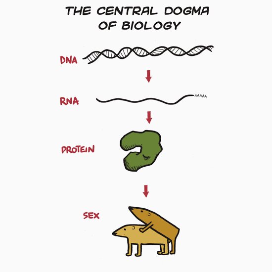 " Central dogma of Biology"  Stickers by velica