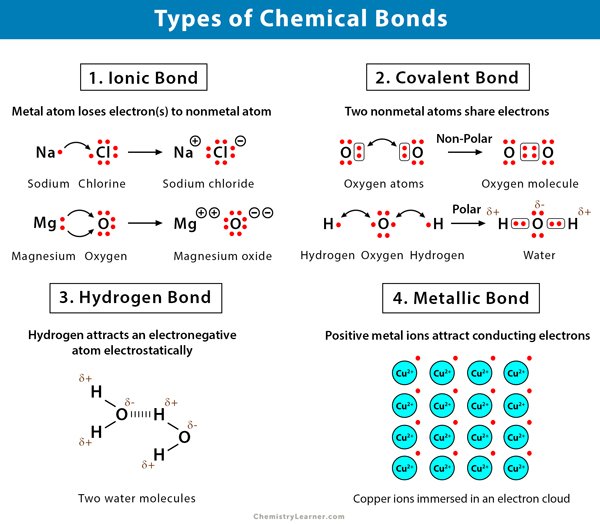 Chemical Bonds: Definition, Types, and Examples