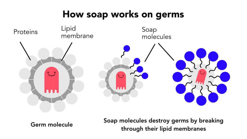Chemistry of Soaps and Salts