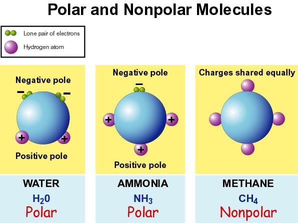 Chemistry Time!: Polar Molecules