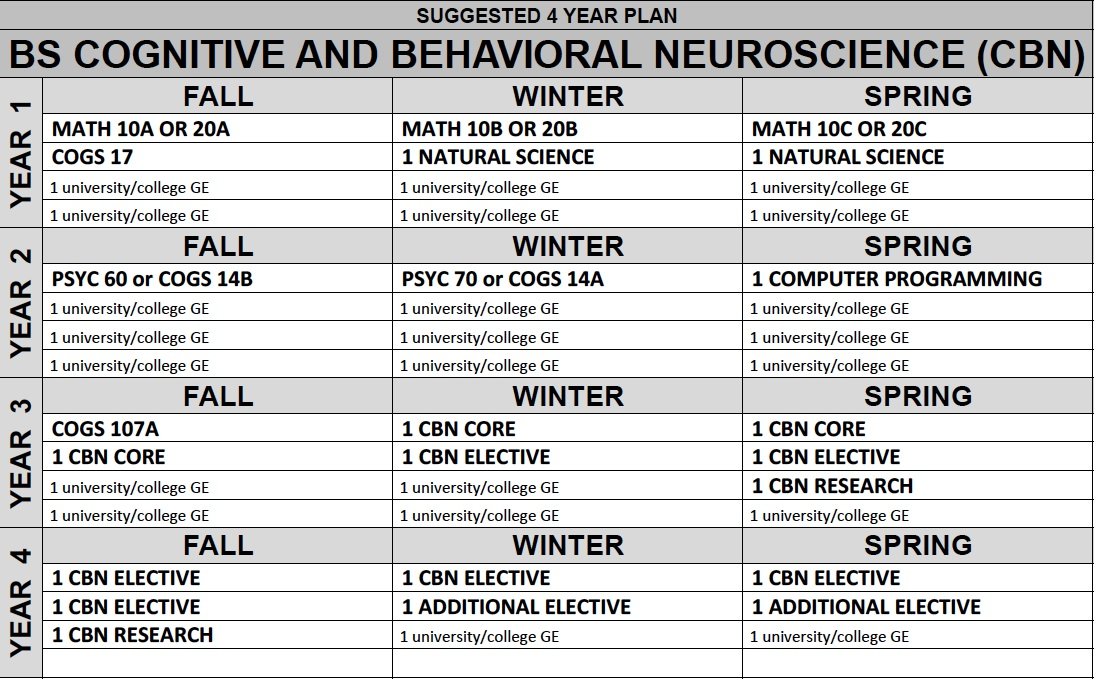 Cognitive and Behavioral Neuroscience B.S.