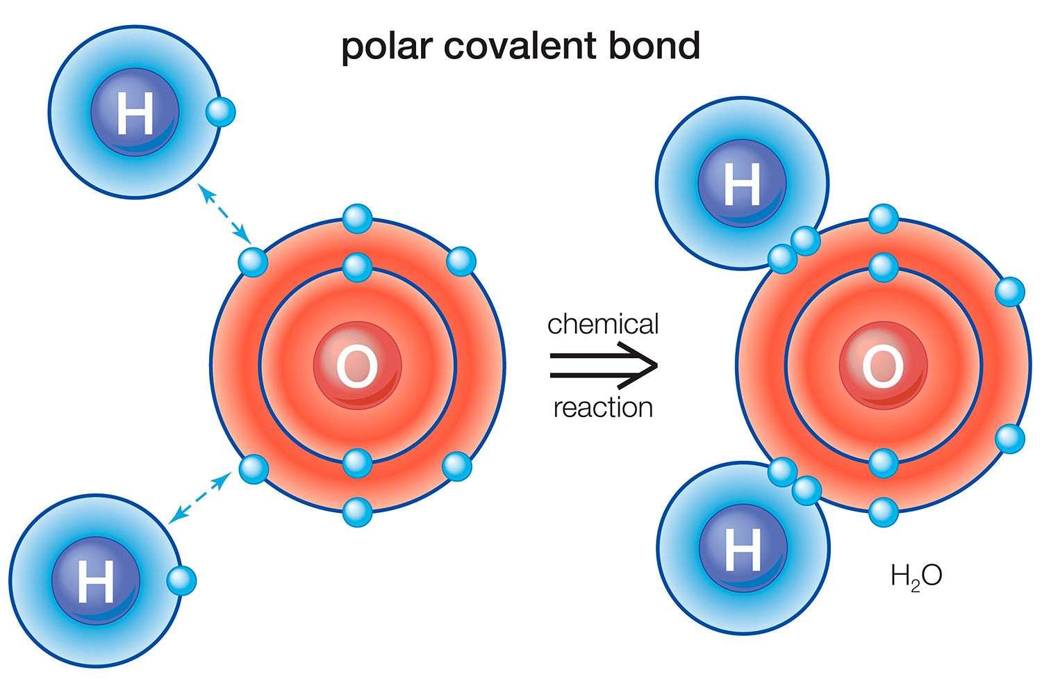 Definition and Examples of a Polar Bond in Chemistry