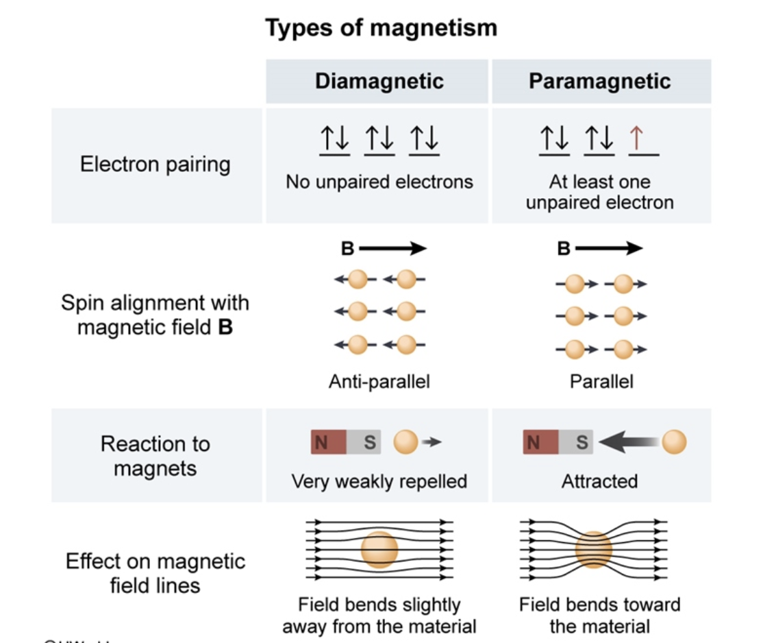 Diamagnetic/Paramagnetic &  Magnetic field Could someone ...