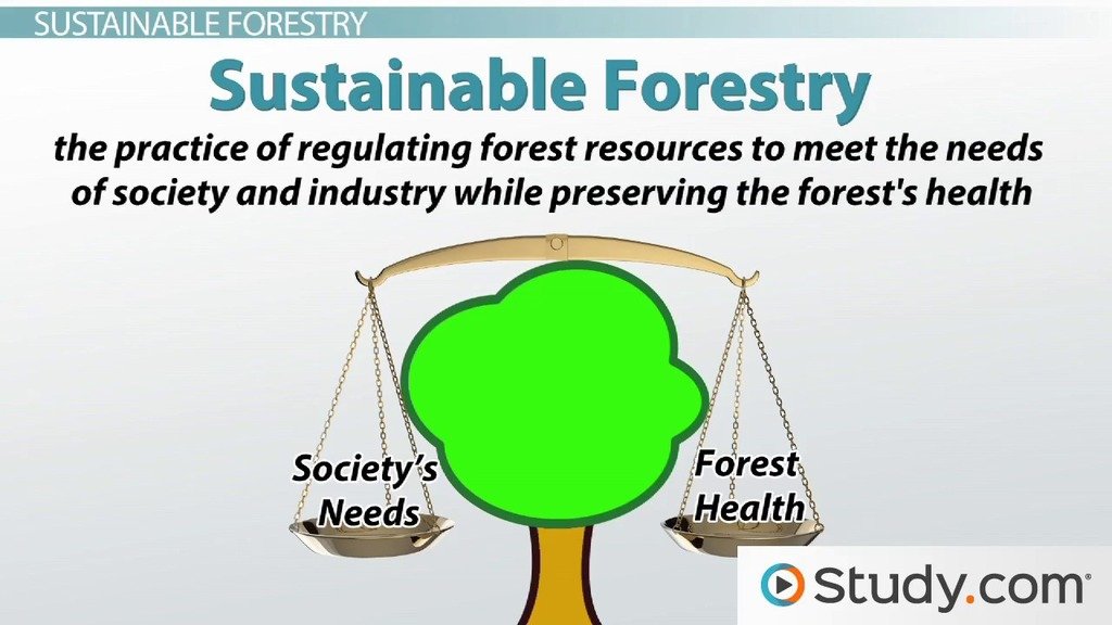 what-does-sustainable-mean-in-geography-tutordale