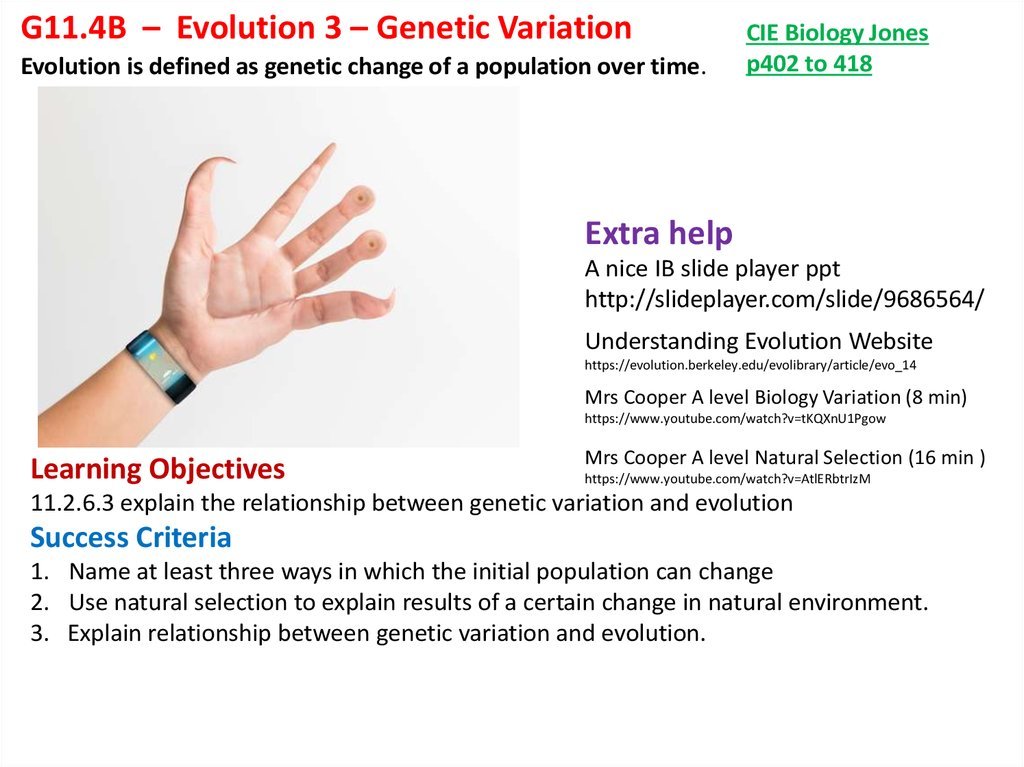 Evolution 3  Genetic Variation