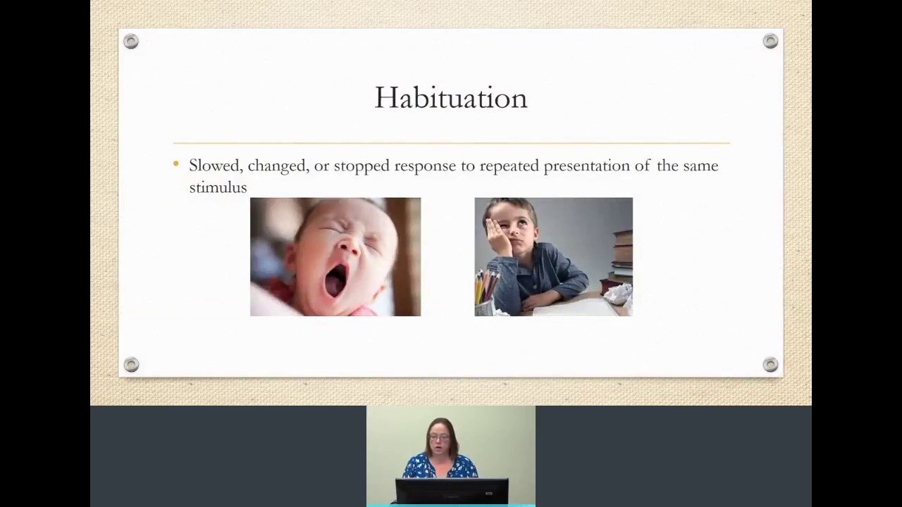 Habituation &  Dishabituation in developmental psychology ...