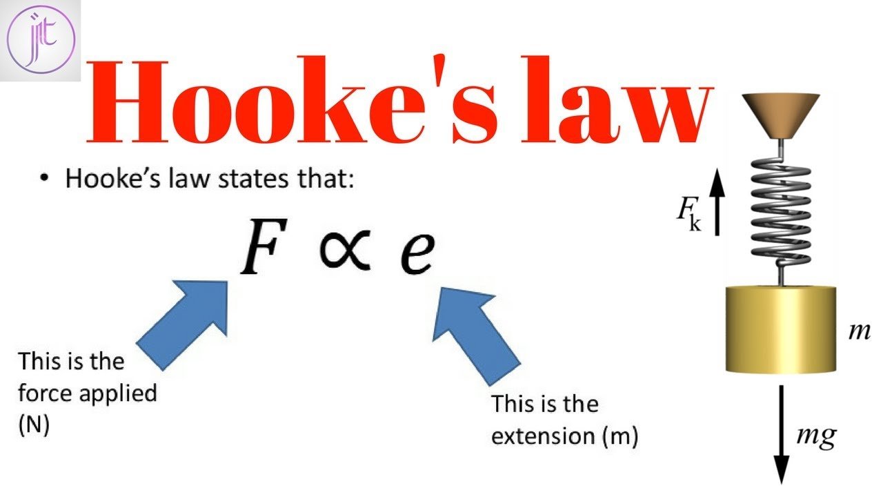 Hookes Law Physics