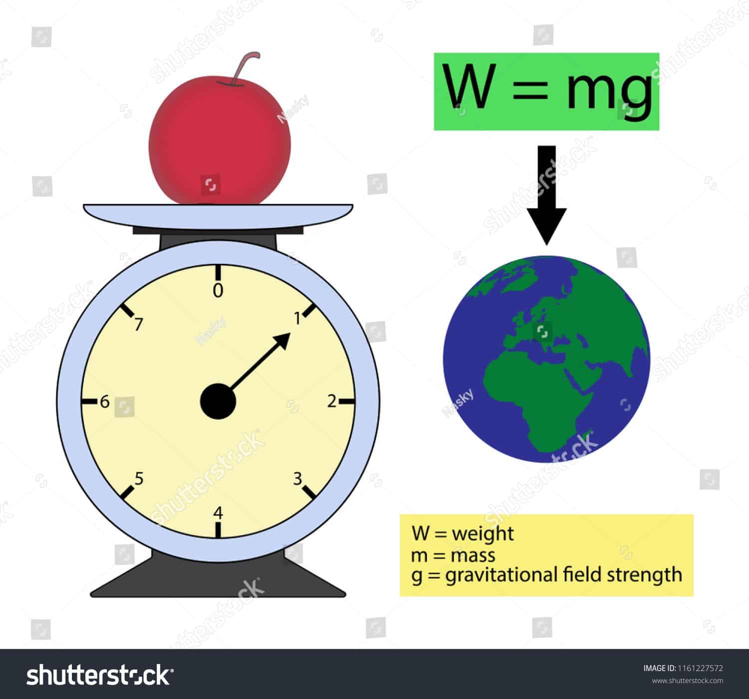 illustration of physics, The weight of an object is the force of ...