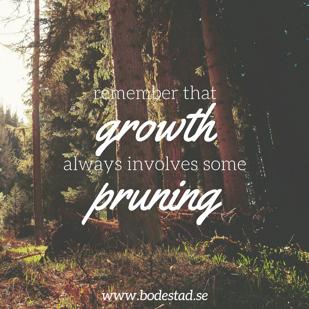 Inspirational quote: " Remember that growth always involves some pruning ...