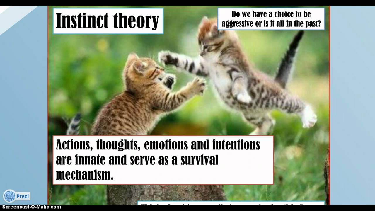 Instinct Theory