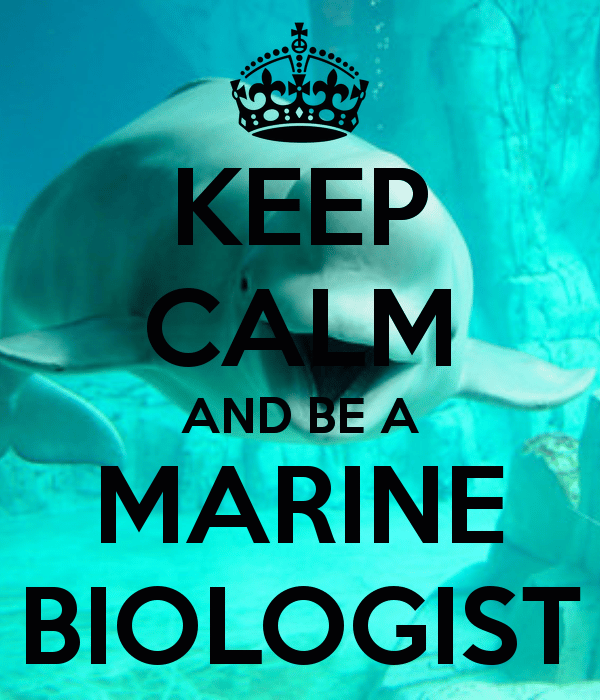 Keep calm and be a marine biologist.