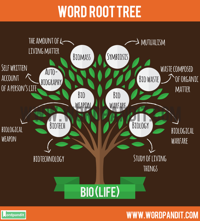 Know about Bio Root word and words based on this Root Bio