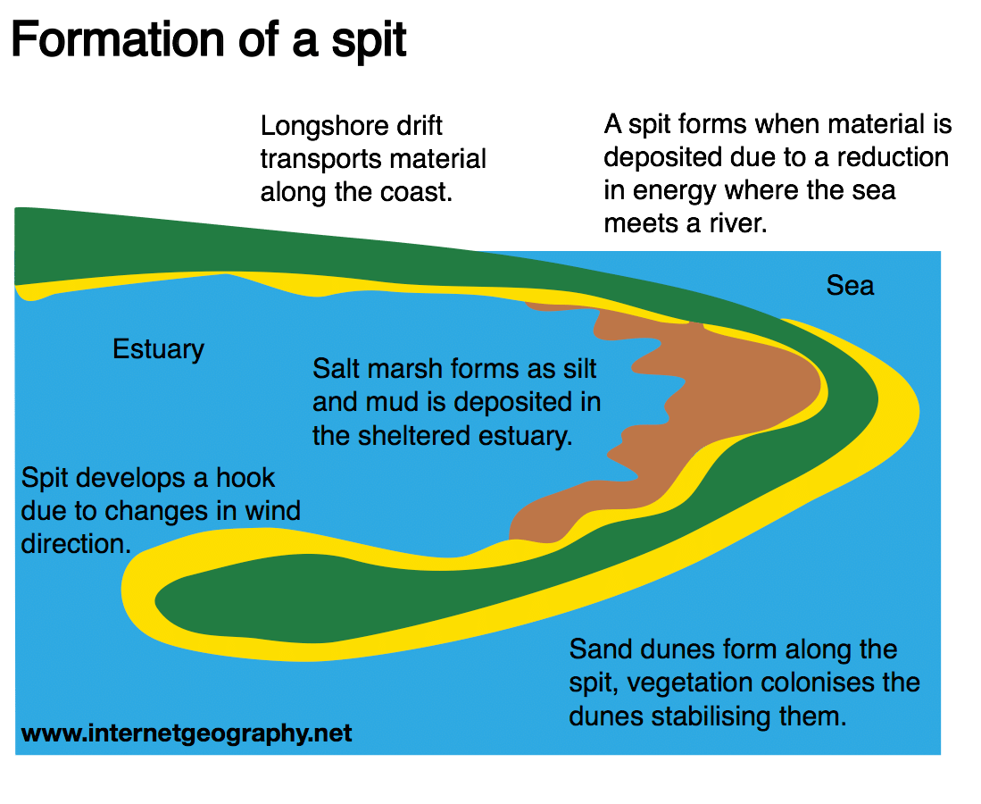 Landforms of coastal deposition