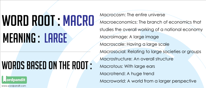 Macro Word Root