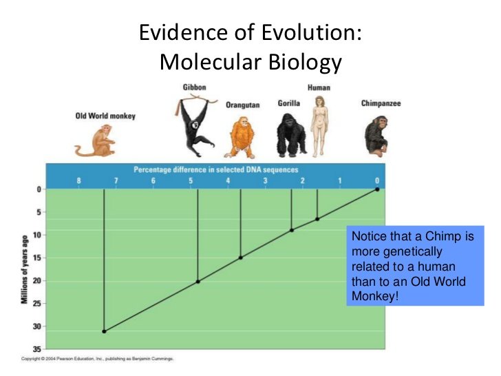 Molecular Biology and Evolution