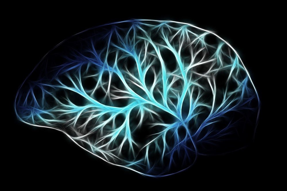Neurogenesis Allows Adult Brains to Change According to ...