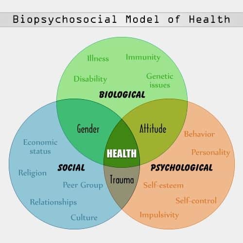Pin on biopsychosocial model