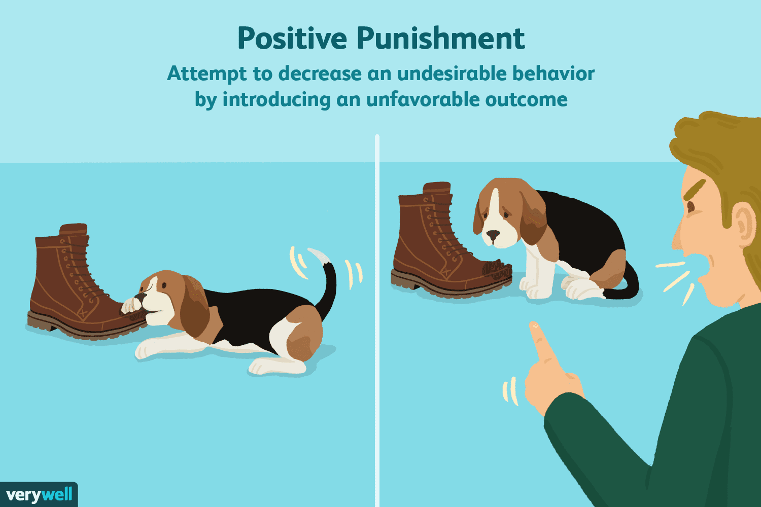 what-is-positive-punishment-in-psychology-tutordale