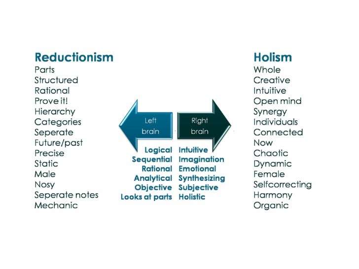 Reductionism vs holism