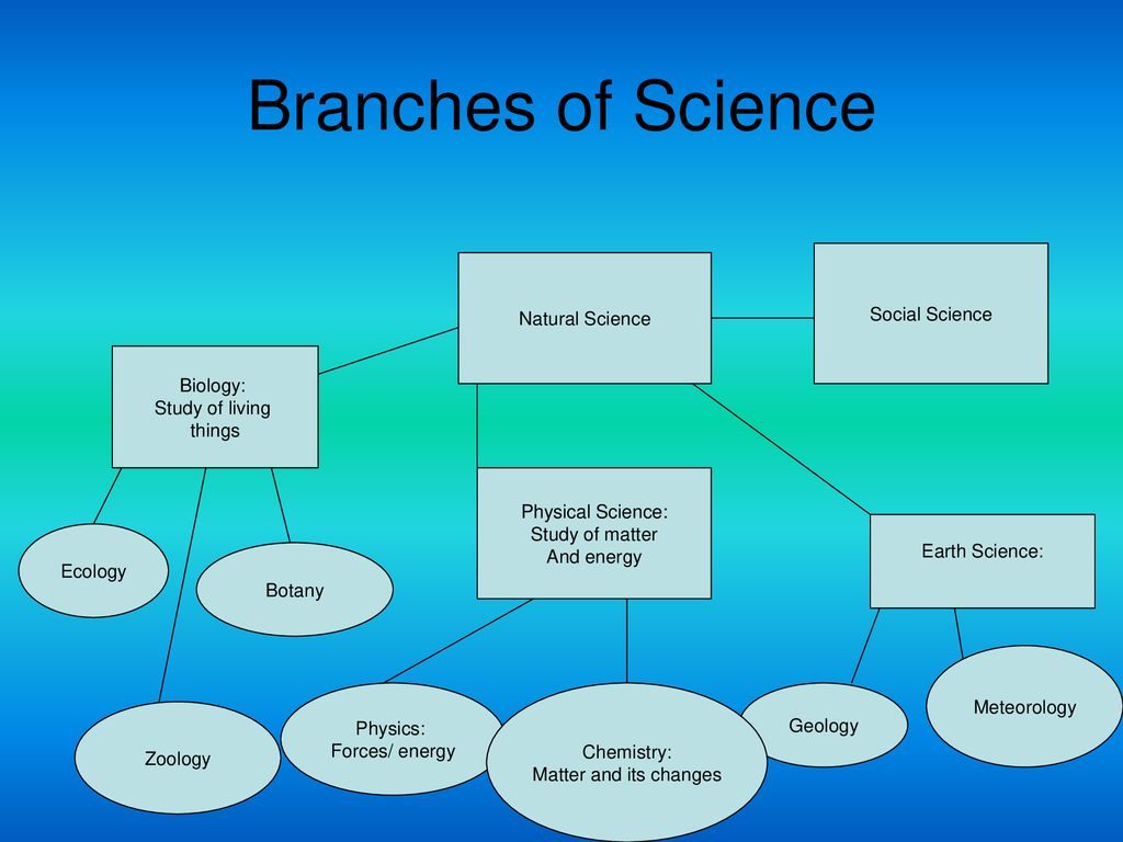  A diagram of the branches of science, which include natural science, social science, physical science, and earth science.