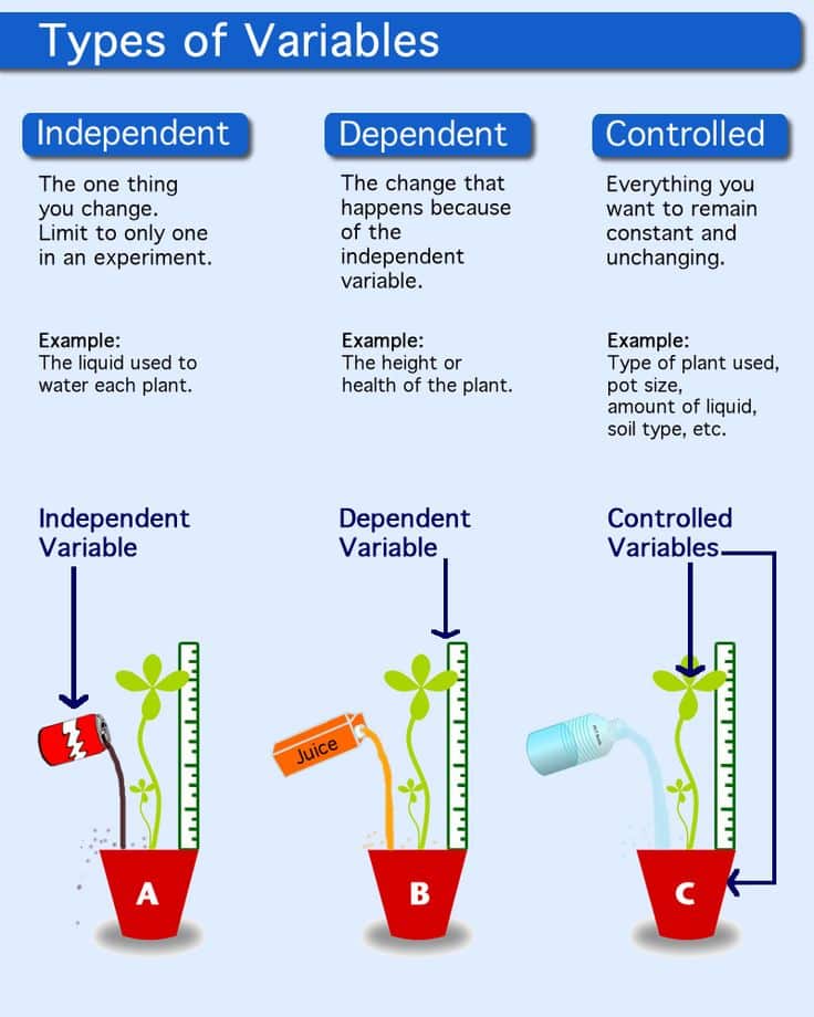 what-does-imf-stand-for-in-chemistry-tutordale