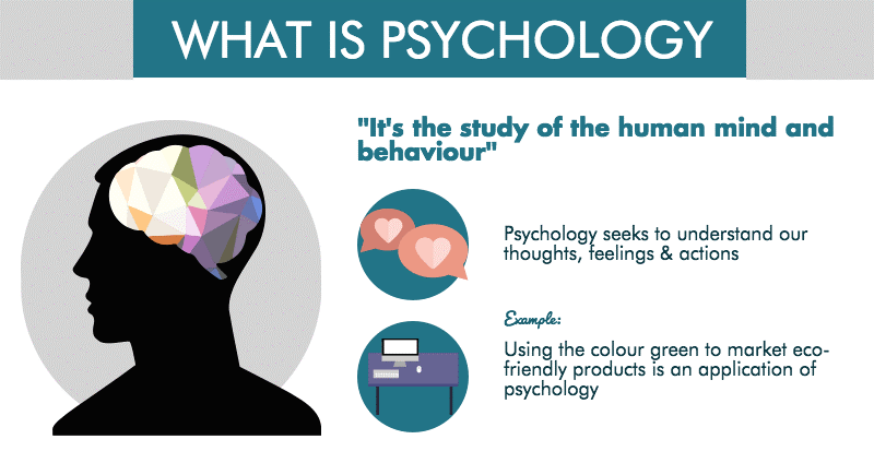 Should You Get a Degree in Psychology