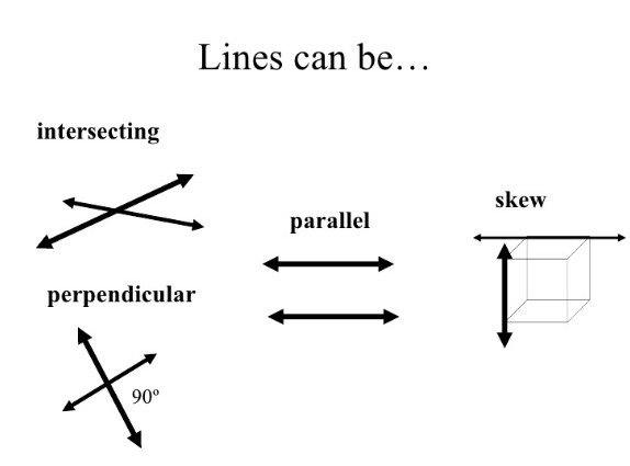 Skew lines are parallel. always sometimes never