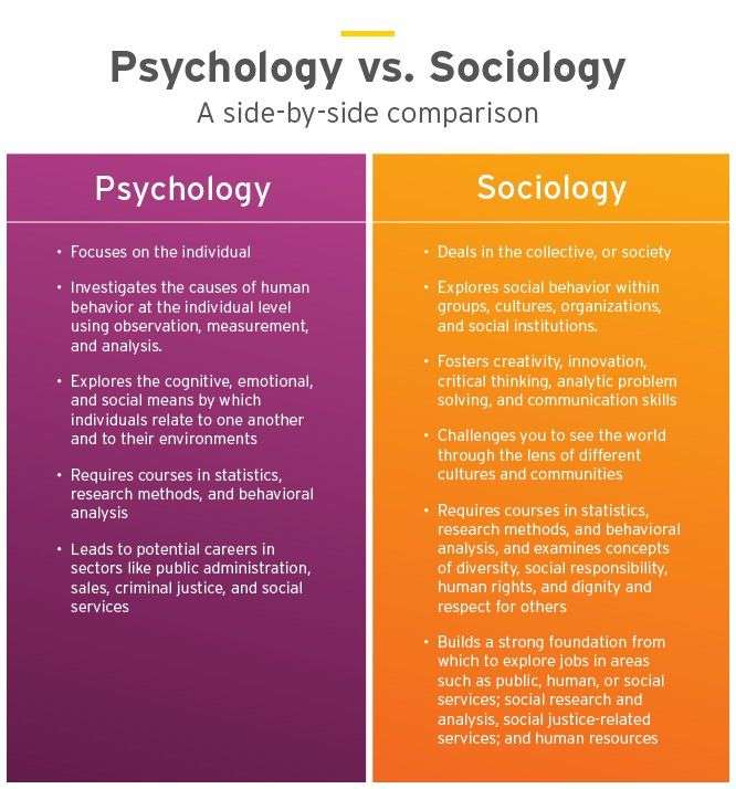 Sociology vs. Psychology: Which Bachelorâs Degree?