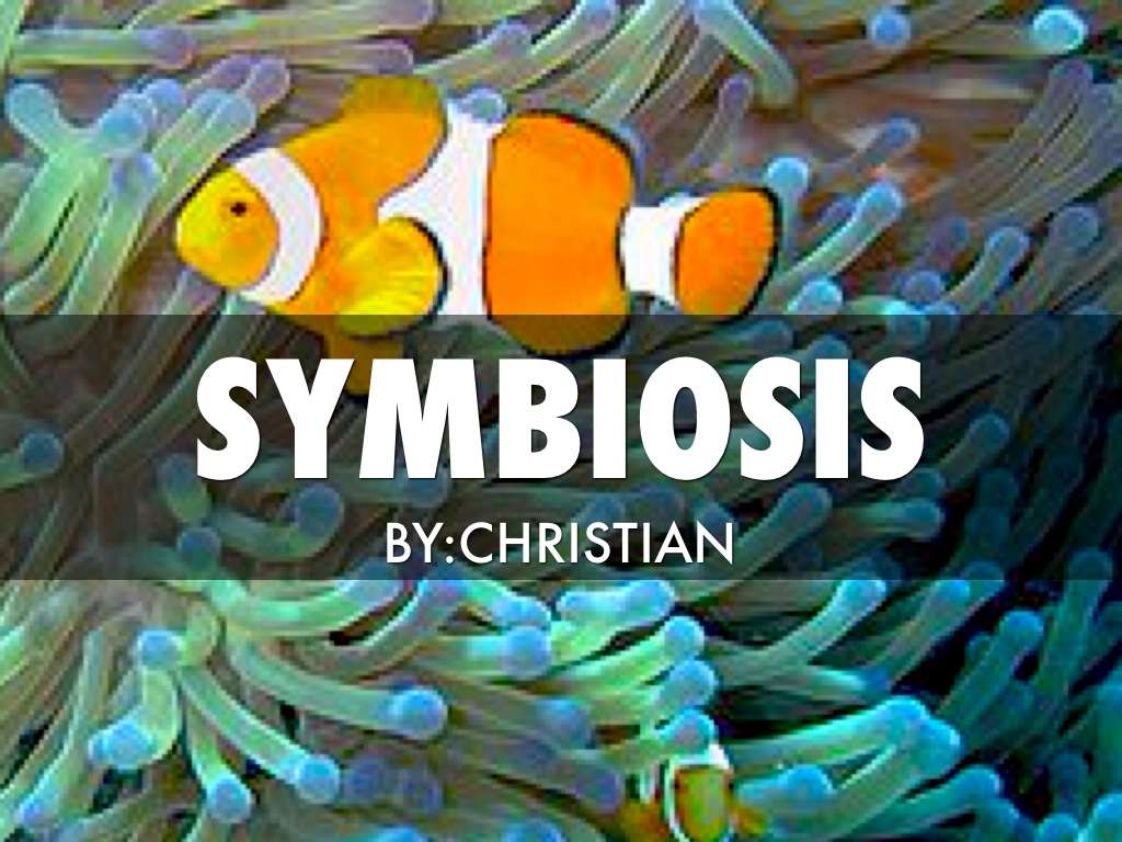 Symbiosis by Christian Klemkow