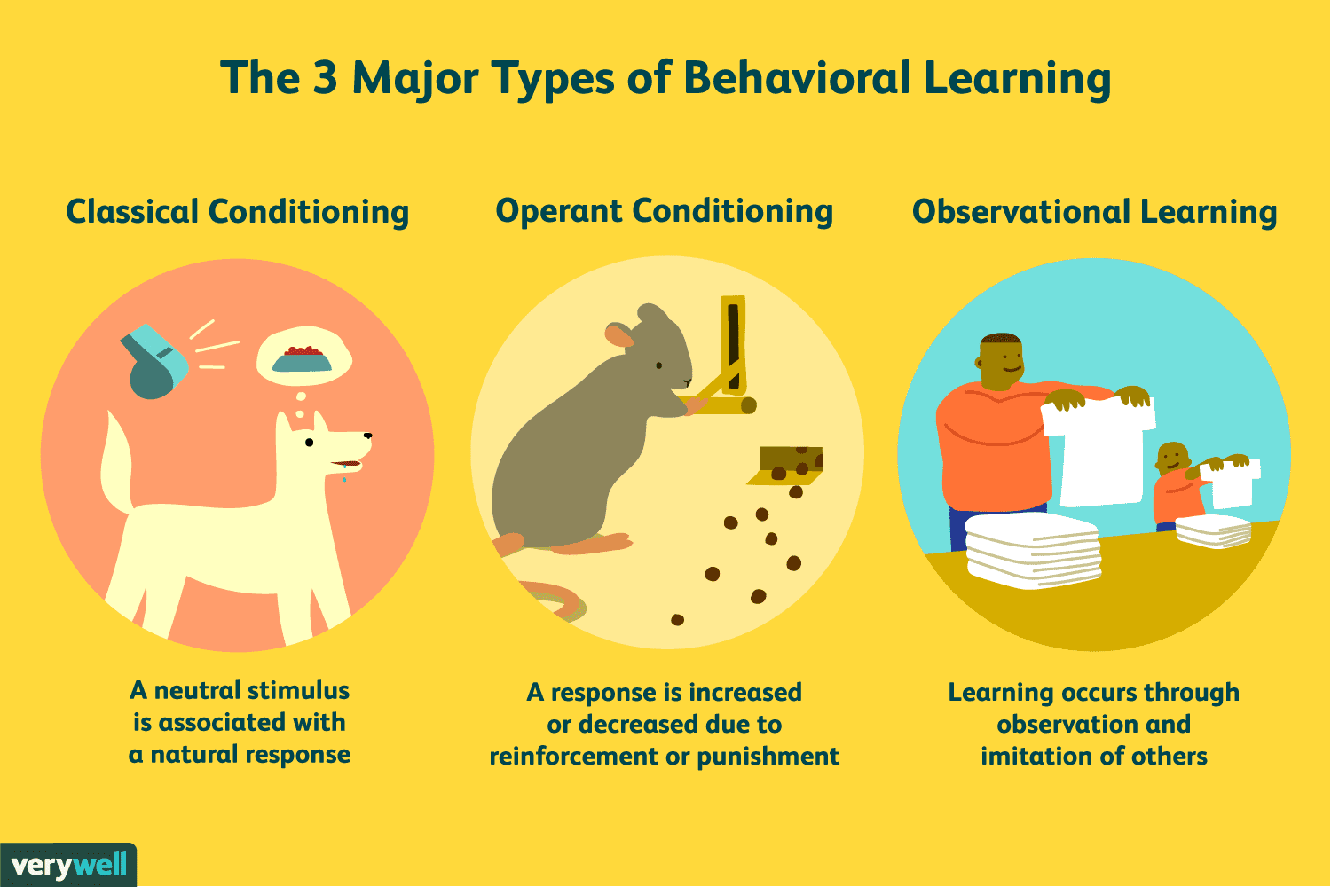The Basics of the Psychology of Learning