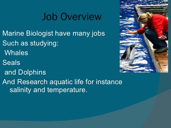 The career of_marine_biology_pp_2003[1]