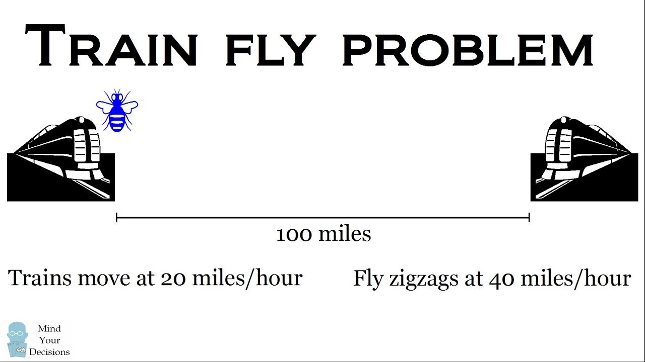 The Train Fly Problem