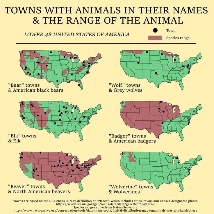 These maps show how much range Americaâs wild animals have lost