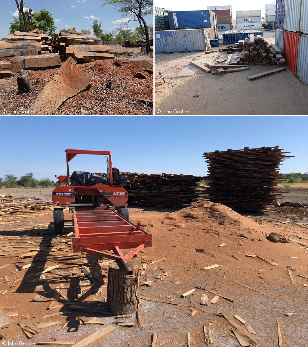 They are finishing the trees: Chinese companies and Namibian elites ...