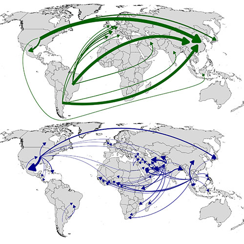 Unraveling the complex web of global food trade